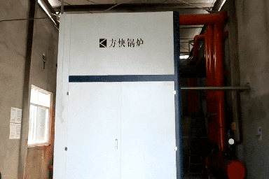 乐山金豆动物营养食品有限公司使用方快锅炉一台4吨燃气蒸汽锅炉案例